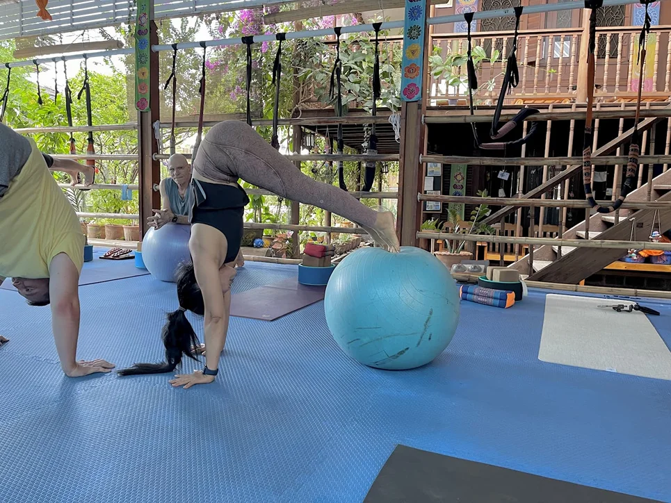 25 Day Yoga Teacher Training in Koh Samui (16).webp