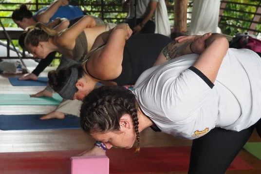25 Day Yoga Teacher Training in Koh Samui (22).webp