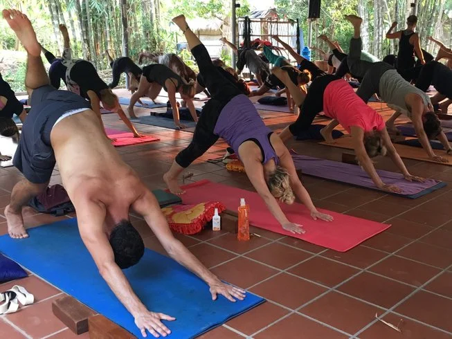 27 Day 120-Hour Holistic Yoga and Meditation Training for Self-Development in Koh Phangan (14).webp