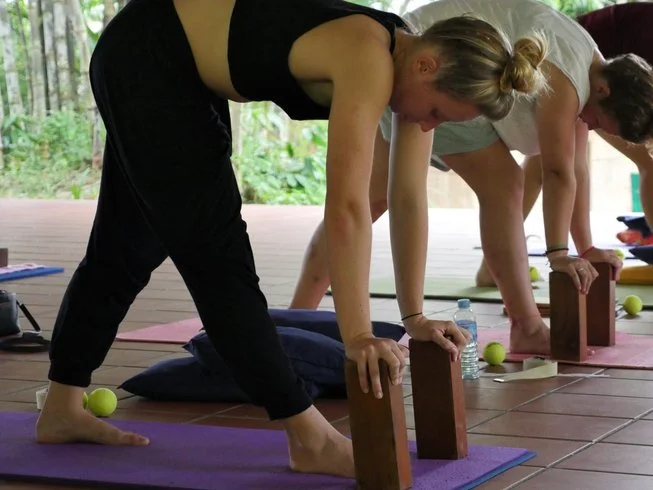 27 Day 120-Hour Holistic Yoga and Meditation Training for Self-Development in Koh Phangan (30).webp