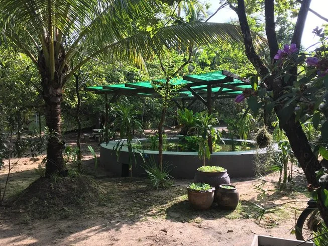 27 Day 120-Hour Holistic Yoga and Meditation Training for Self-Development in Koh Phangan (4).webp