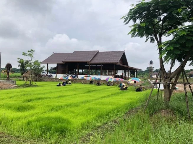 27 Day 200-Hour Multi-Style Vinyasa, Hatha, and Bhakti Yoga Teacher Training in Chiang Mai (16).webp
