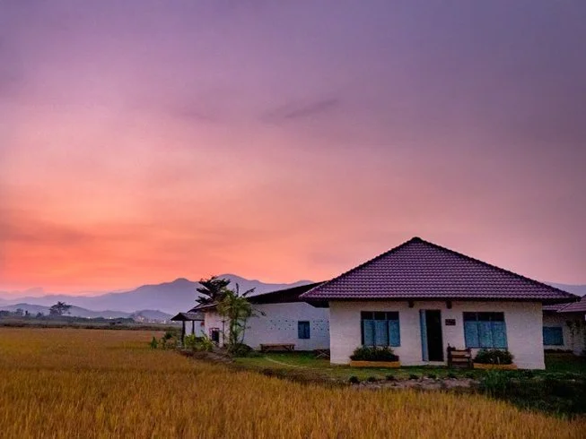 27 Day 200-Hour Multi-Style Vinyasa, Hatha, and Bhakti Yoga Teacher Training in Chiang Mai (17).webp