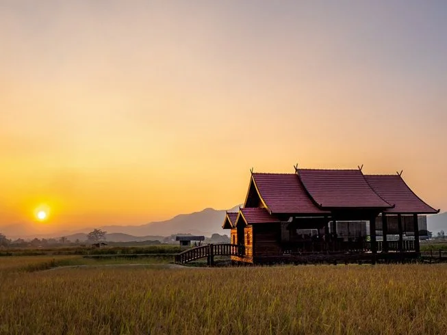 27 Day 200-Hour Multi-Style Vinyasa, Hatha, and Bhakti Yoga Teacher Training in Chiang Mai (18).webp