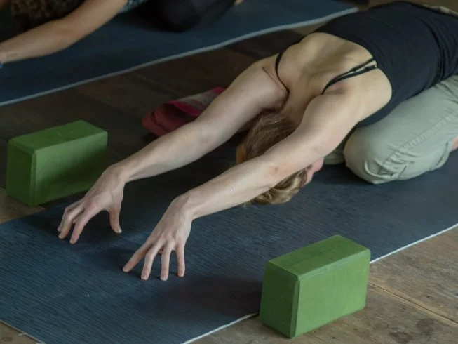 27 Day 200-Hour Multi-Style Vinyasa, Hatha, and Bhakti Yoga Teacher Training in Chiang Mai (28).webp