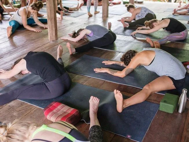 27 Day 200-Hour Multi-Style Vinyasa, Hatha, and Bhakti Yoga Teacher Training in Chiang Mai (32).webp