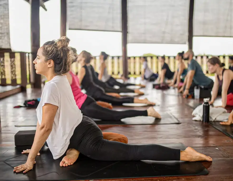 27 Day 200-Hour Multi-Style Vinyasa, Hatha, and Bhakti Yoga Teacher Training in Chiang Mai (4) (1).webp