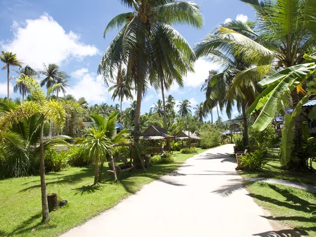 28 Day 200-Hour Multi-Style Yoga Teacher Training Course with Vegan Food in Koh Phangan (38).webp
