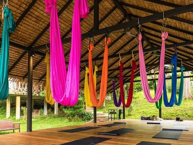 28 Day 200-Hour Multi-Style Yoga Teacher Training Course with Vegan Food in Koh Phangan (5).webp