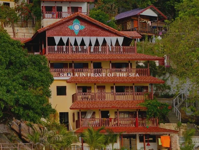 28 Day 200-Hour Yoga & Energy Medicine Teacher Training Course in Koh Phangan (15).webp