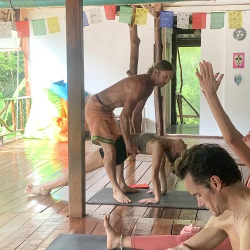 29 Day 200-Hour Ashtanga Vinyasa Yoga Teacher Training in Koh Phangan (1).webp