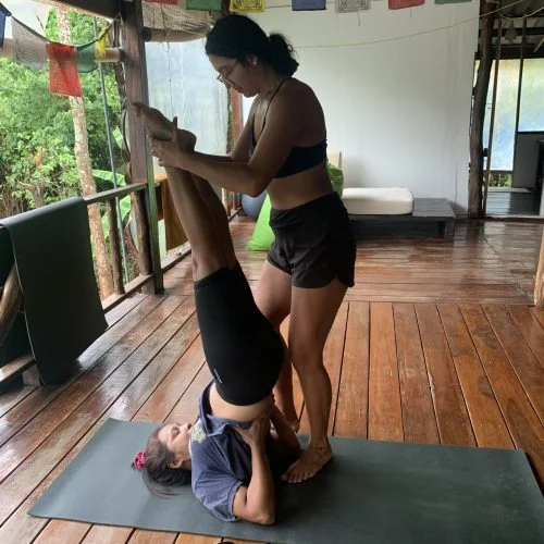 29 Day 200-Hour Ashtanga Vinyasa Yoga Teacher Training in Koh Phangan (11).webp