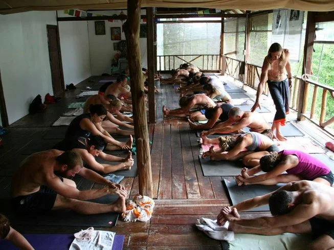 29 Day 200-Hour Ashtanga Vinyasa Yoga Teacher Training in Koh Phangan (12) (1).webp