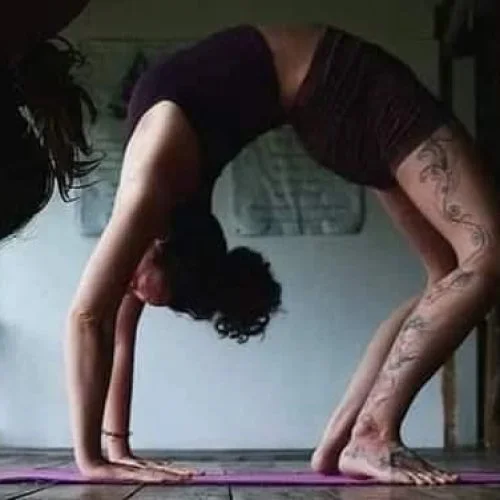 29 Day 200-Hour Ashtanga Vinyasa Yoga Teacher Training in Koh Phangan (21).webp
