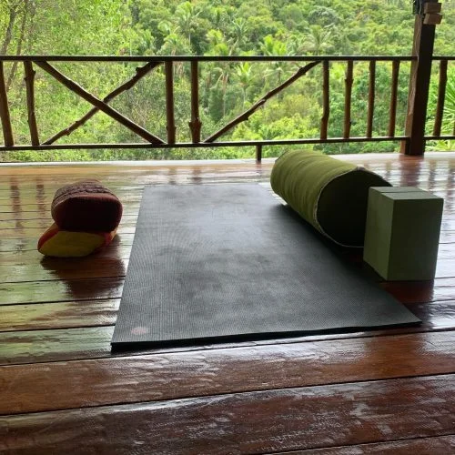 29 Day 200-Hour Ashtanga Vinyasa Yoga Teacher Training in Koh Phangan (23).webp