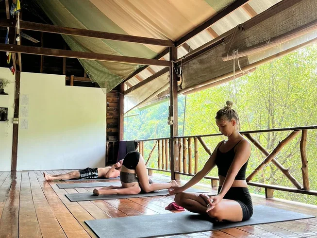 29 Day 200-Hour Ashtanga Vinyasa Yoga Teacher Training in Koh Phangan (3) (2).webp