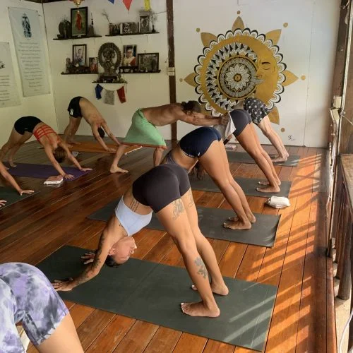 29 Day 200-Hour Ashtanga Vinyasa Yoga Teacher Training in Koh Phangan (6) (1).webp