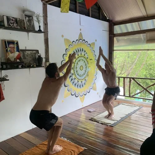 29 Day 200-Hour Ashtanga Vinyasa Yoga Teacher Training in Koh Phangan (9).webp