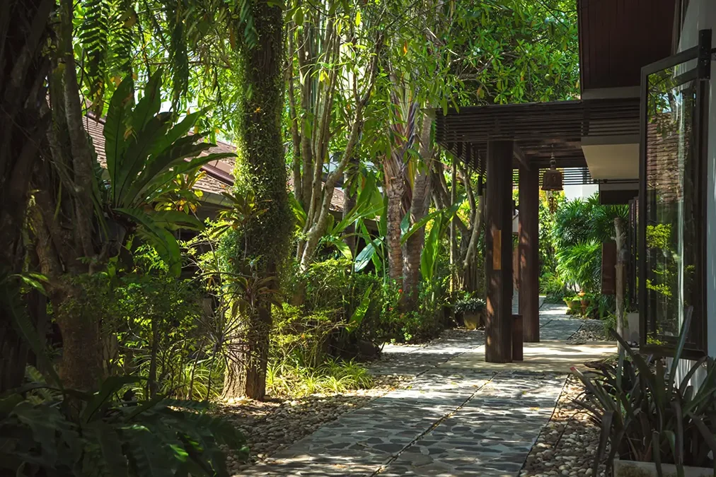 29 Day 200-Hour Yoga Teacher Training in Koh Samui, Surat Thani (6) (1).webp