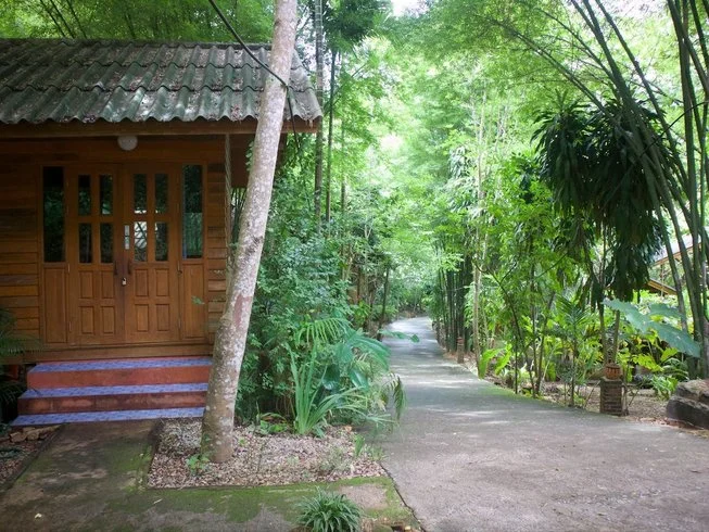 3 Day Integrated Yoga Retreat in Mae Wang, Chiang Mai (25).webp