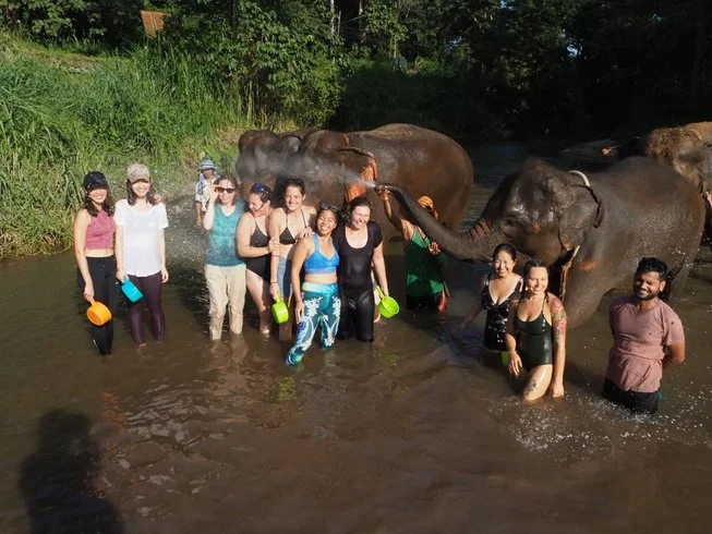 3 Day Integrated Yoga Retreat in Mae Wang, Chiang Mai (9).webp