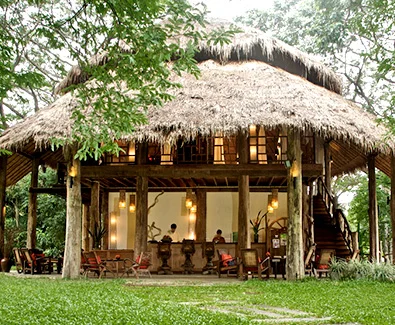 34 Day 300-Hour Level 2 Yoga Teacher training in Thailand (27).webp