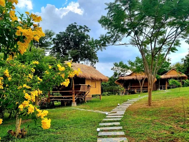 4 Day Home Style Yoga & Meditation Retreats Retreat in Chiang Mai (13) (1).webp