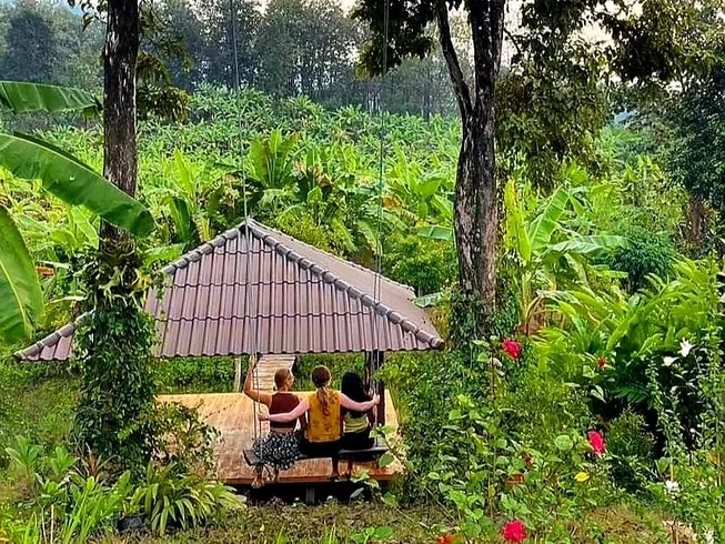 4 Day Home Style Yoga & Meditation Retreats Retreat in Chiang Mai (17).webp
