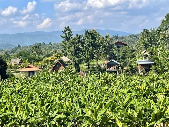 4 Day Home Style Yoga & Meditation Retreats Retreat in Chiang Mai (24).webp