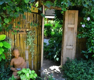 4 Day Spa and Yoga Retreat in Chiang Rai (10).webp
