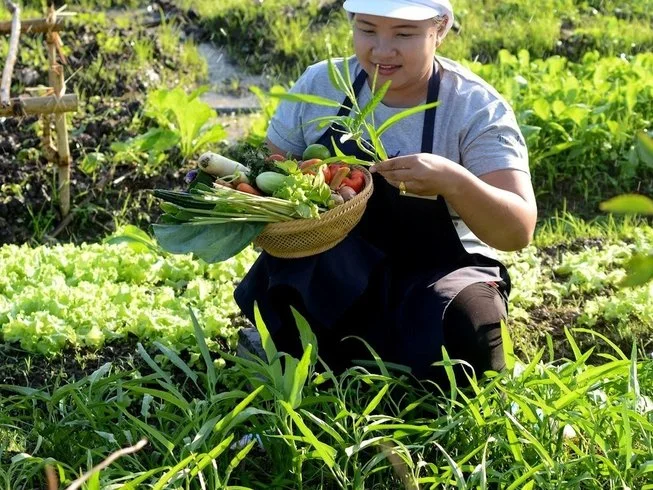 4 Day Spa and Yoga Retreat in Chiang Rai (5) (1).webp