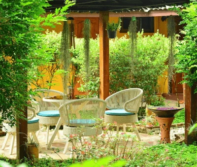 4 Day Spa and Yoga Retreat in Chiang Rai (8) (1).webp