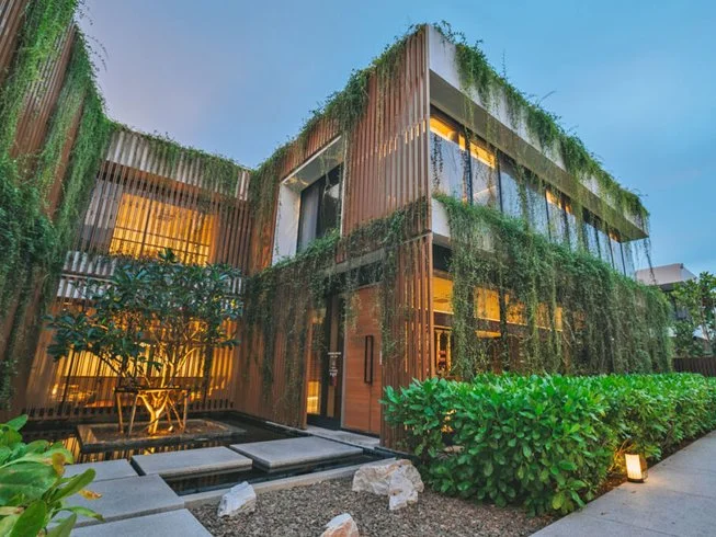 4 Day Yoga Retreat in Phuket, Thailand (5).webp