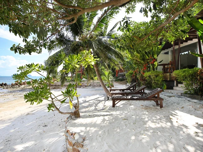 42 Day 300-Hour Advanced Yoga Teacher Training in Koh Phangan (15).webp