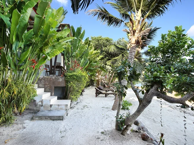 42 Day 300-Hour Advanced Yoga Teacher Training in Koh Phangan (33).webp