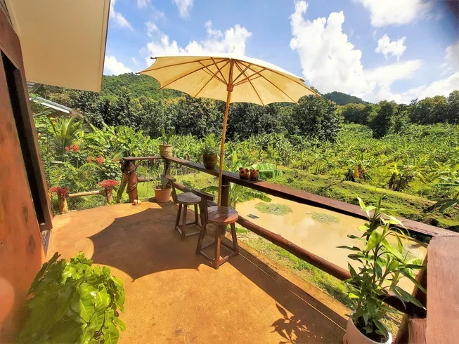 5 Day True Nature Yoga and Meditation Homestay Retreat in Chiang Mai (30).webp