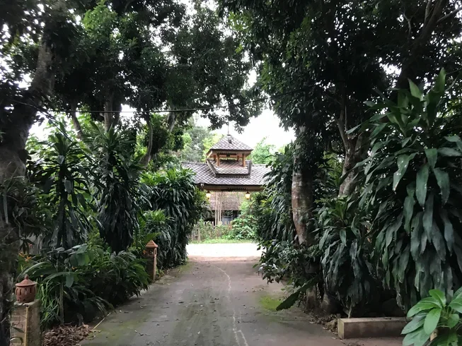 51 Day 500 Hours Hatha & Ashtanga Vinyasa Yoga Teacher Training in Chiang Mai, Thailand (12) (1).webp