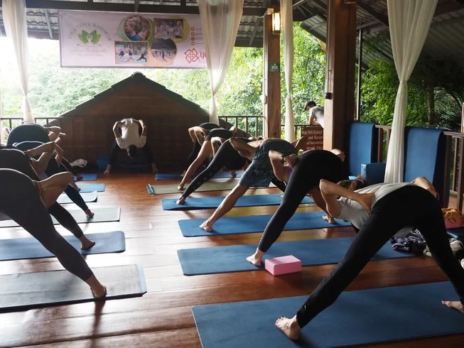 51 Day 500 Hours Hatha & Ashtanga Vinyasa Yoga Teacher Training in Chiang Mai, Thailand (8).webp