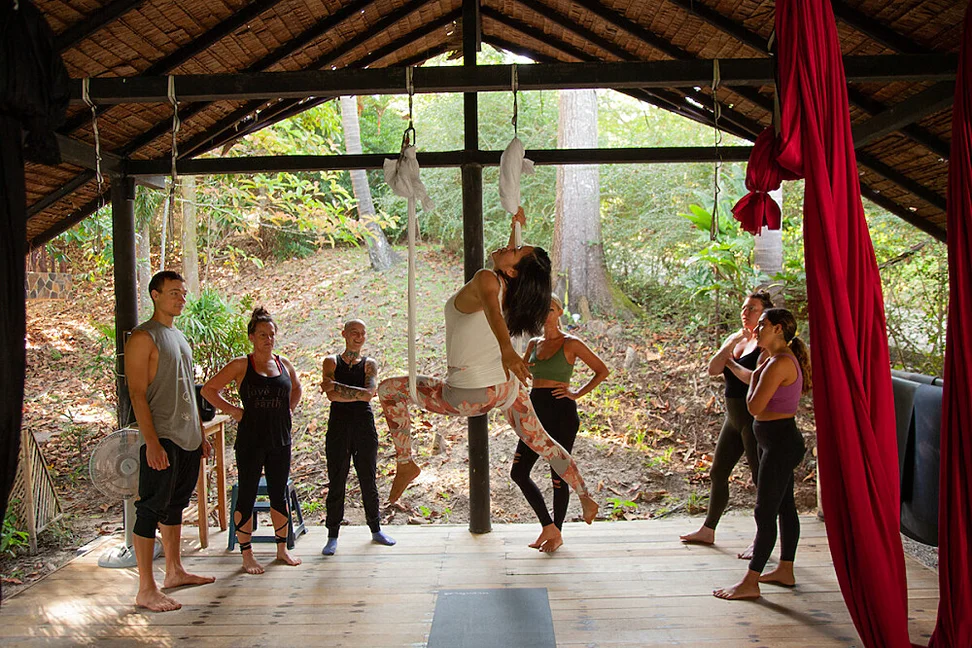 6 Day 55 Hour Holistic Aerial Yoga TTC (Trauma Aware) in Thailand (31).webp