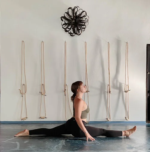 7 Day 50-Hour Aerial Yoga Teacher Training in Koh Phangan, Surat Thani (30).webp