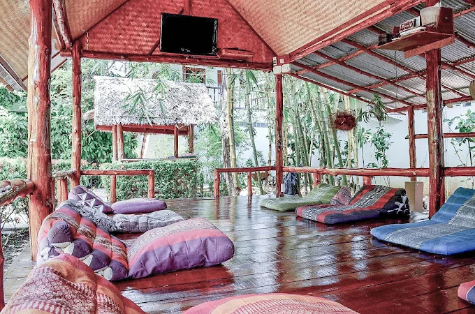 7 Day 50-Hour Aerial Yoga Teacher Training in Koh Phangan, Surat Thani (32).webp