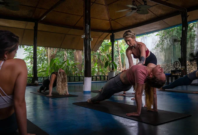 7 Day 50-Hour Aerial Yoga Teacher Training in Koh Phangan, Surat Thani (38).webp