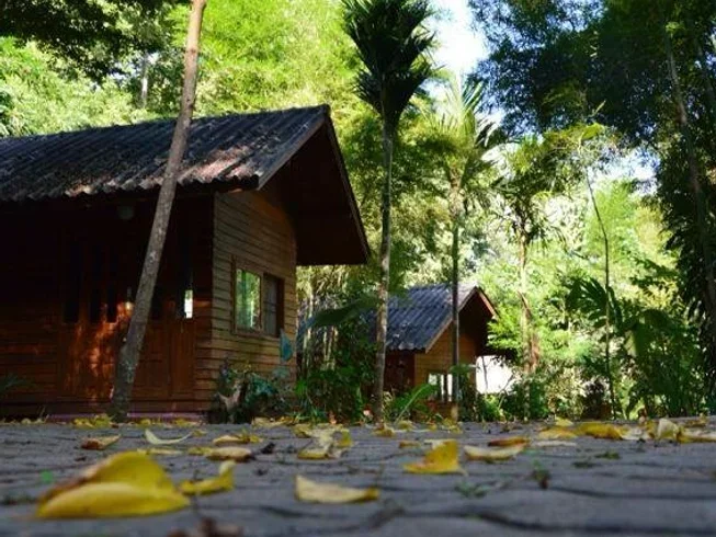 7 Day 50-Hour Hatha and Ashtanga Vinyasa Yoga Teacher Training in Chiang Mai (13) (1).webp