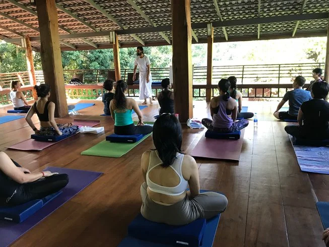 7 Day 50-Hour Hatha and Ashtanga Vinyasa Yoga Teacher Training in Chiang Mai (5).webp