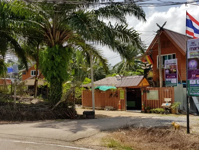 7 Day 50-hour Traditional Hatha, Meditation and Intro in Vinyasa, Yin, and Restorative Yoga in Krabi (16) (1).webp