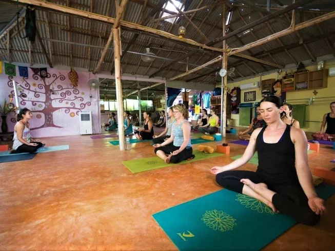 7 Day 50-hour Traditional Hatha, Meditation and Intro in Vinyasa, Yin, and Restorative Yoga in Krabi (29) (1).webp