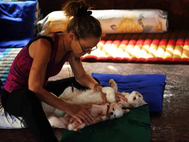 7 Day 50-hour Traditional Hatha, Meditation and Intro in Vinyasa, Yin, and Restorative Yoga in Krabi (3).webp