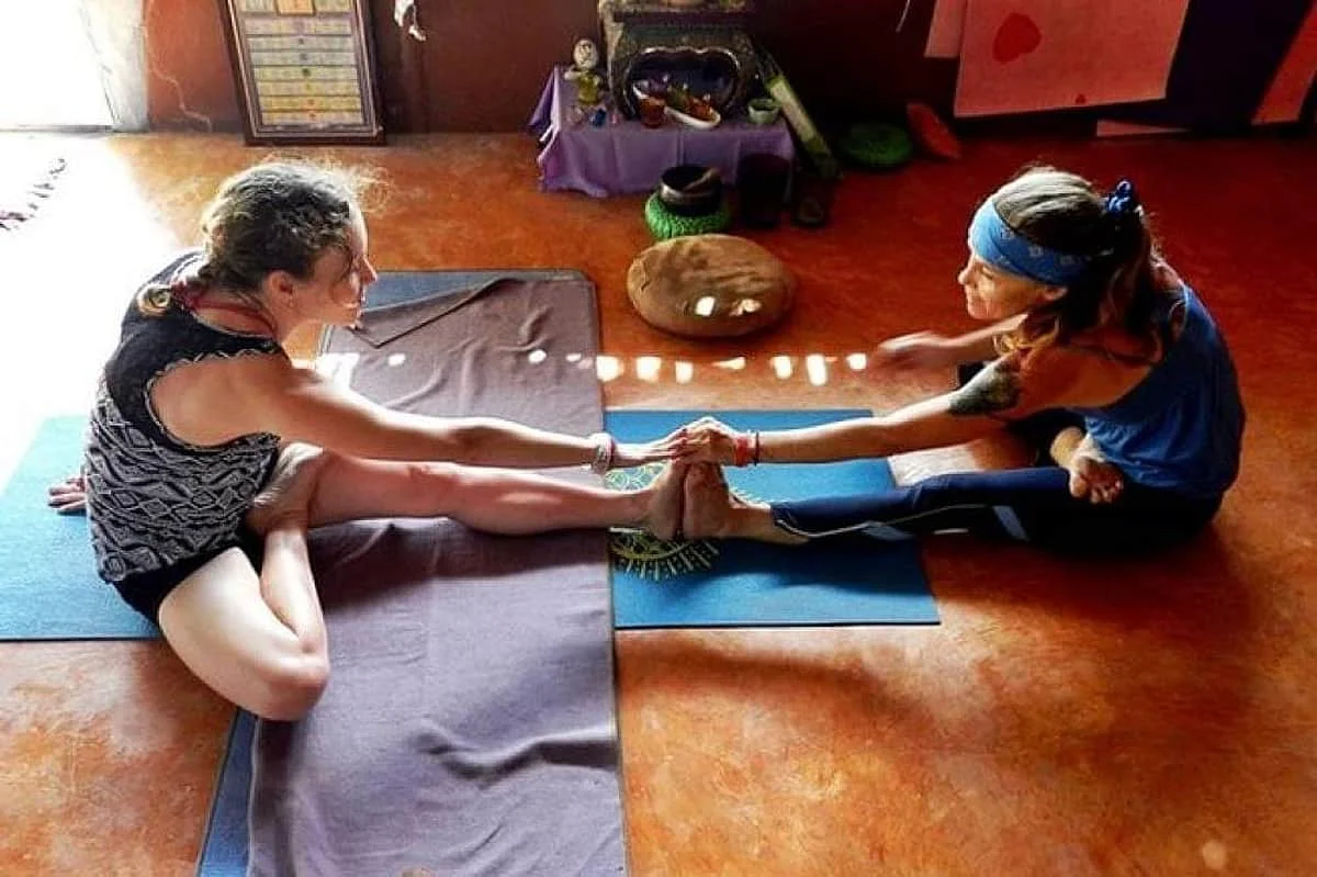 7 Day 50-hour Traditional Hatha, Meditation and Intro in Vinyasa, Yin, and Restorative Yoga in Krabi (5) (1).webp