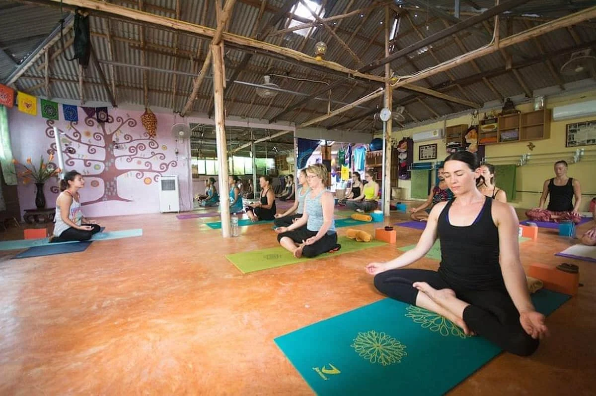 7 Day 50-hour Traditional Hatha, Meditation and Intro in Vinyasa, Yin, and Restorative Yoga in Krabi (7) (1).webp