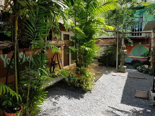 7 Day 50-hour Traditional Hatha, Meditation and Intro in Vinyasa, Yin, and Restorative Yoga in Krabi (7).webp